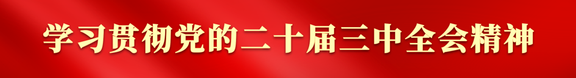 學習貫徹黨的二十屆三中全會精神